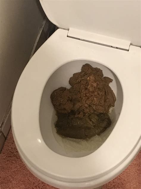 porn poops